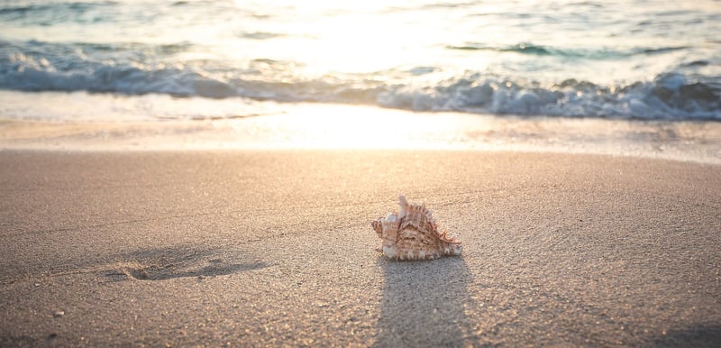 Beach Escape