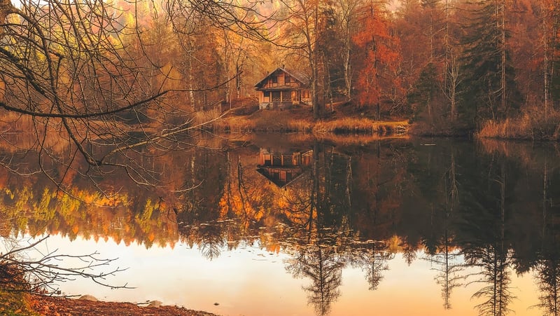 Cozy Cabin in the Forest