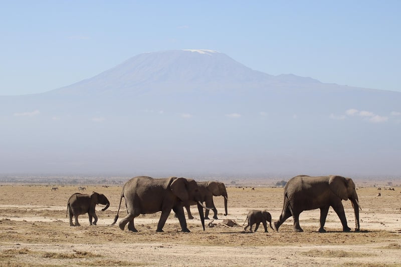 Mount Kilimanjaro
